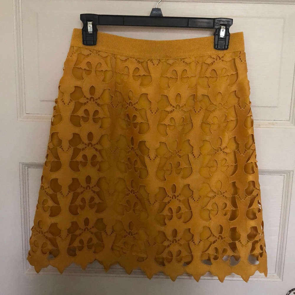 Loft Lace Skirt